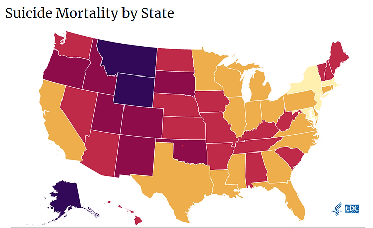 Suicide Mortality by State